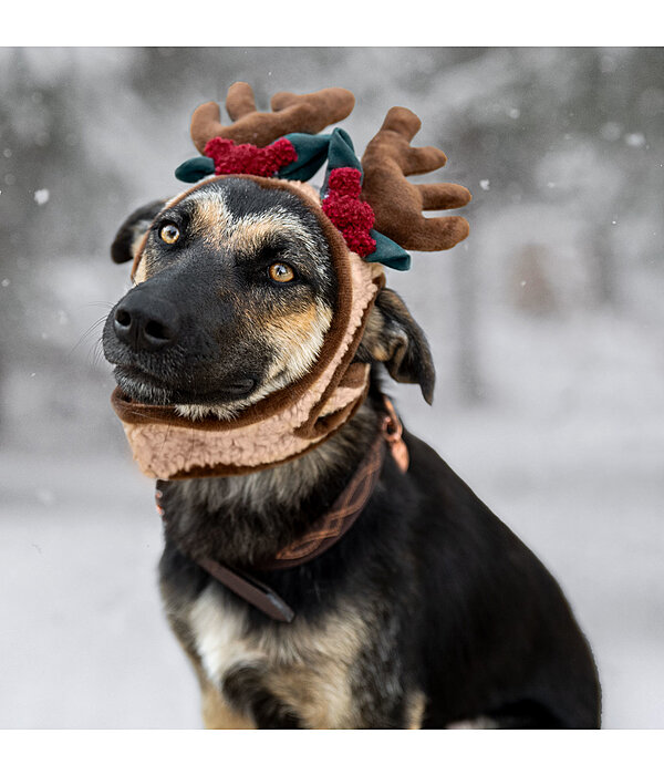 Christmas Antlers Rudolph for Dogs