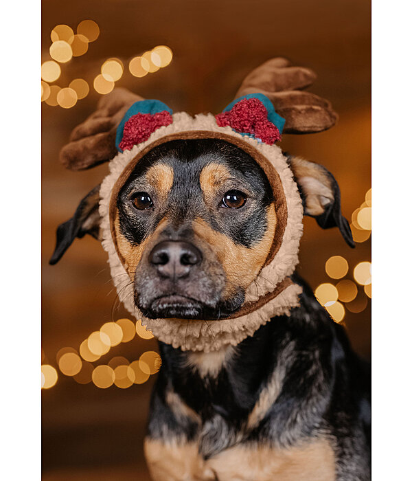 Christmas Antlers Rudolph for Dogs