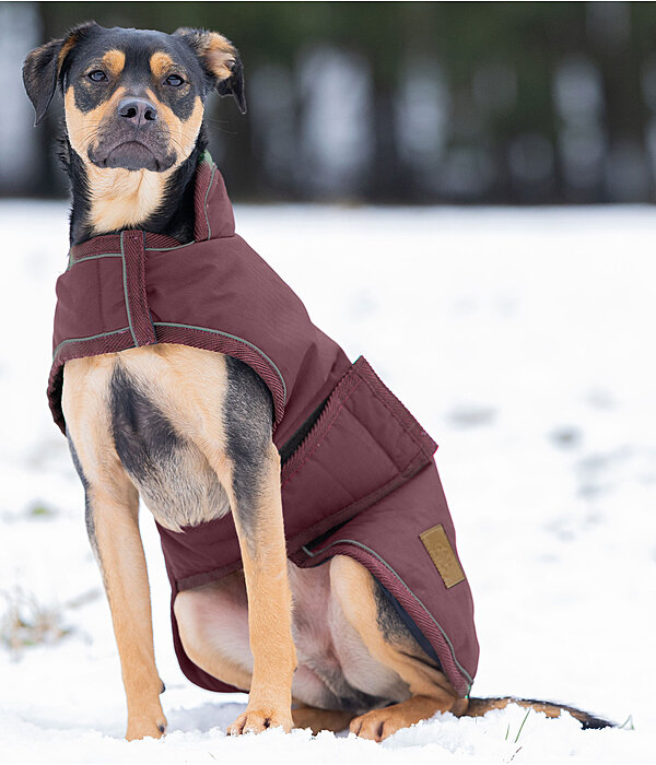 Winter Dog Coat Beaver Creek, 400g