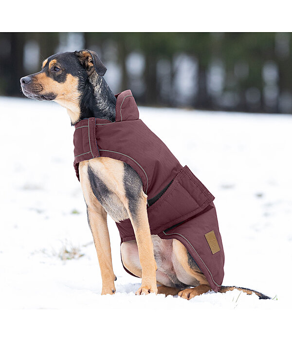 Winter Dog Coat Beaver Creek, 400g