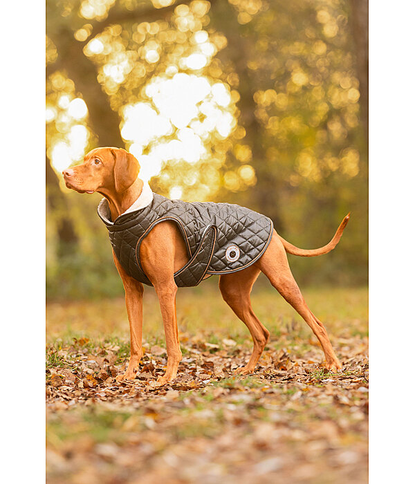 Dog Coat Archie with Teddy Fleece Lining, 160 g