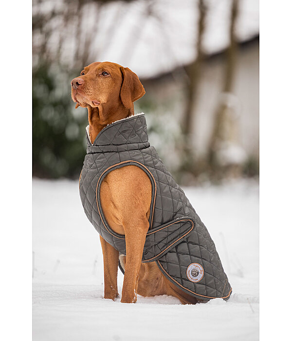 Dog Coat Archie with Teddy Fleece Lining, 160 g