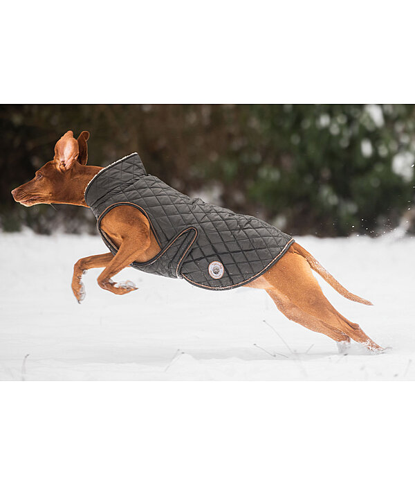 Dog Coat Archie with Teddy Fleece Lining, 160 g