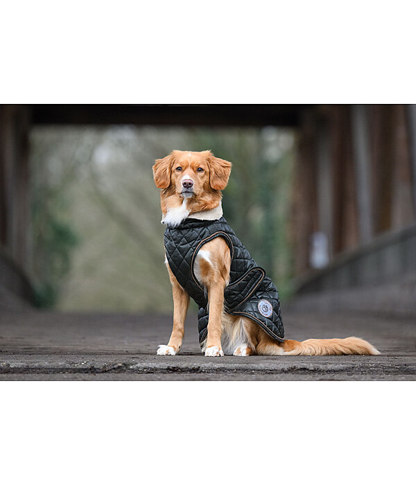 Dog Coat Archie with Teddy Fleece Lining, 160 g