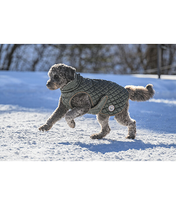 Dog Coat Archie with Teddy Fleece Lining, 160 g