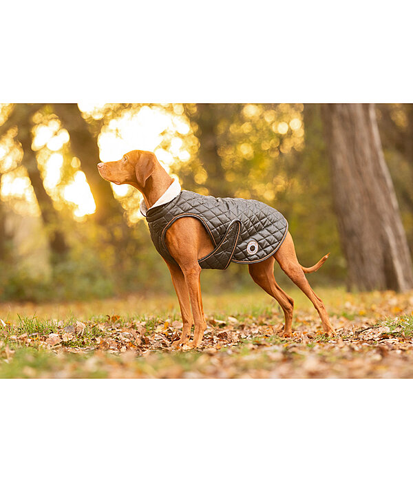 Dog Coat Archie with Teddy Fleece Lining, 160 g