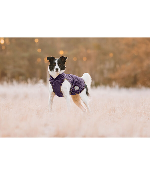 Dog Coat Archie with Teddy Fleece Lining, 160 g