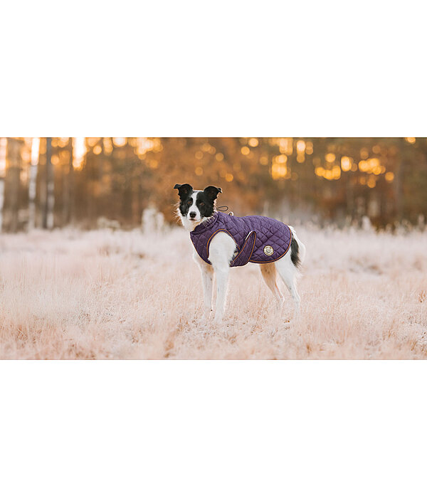 Dog Coat Archie with Teddy Fleece Lining, 160 g
