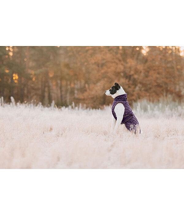 Dog Coat Archie with Teddy Fleece Lining, 160 g