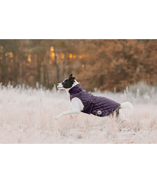 Dog Coat Archie with Teddy Fleece Lining, 160 g