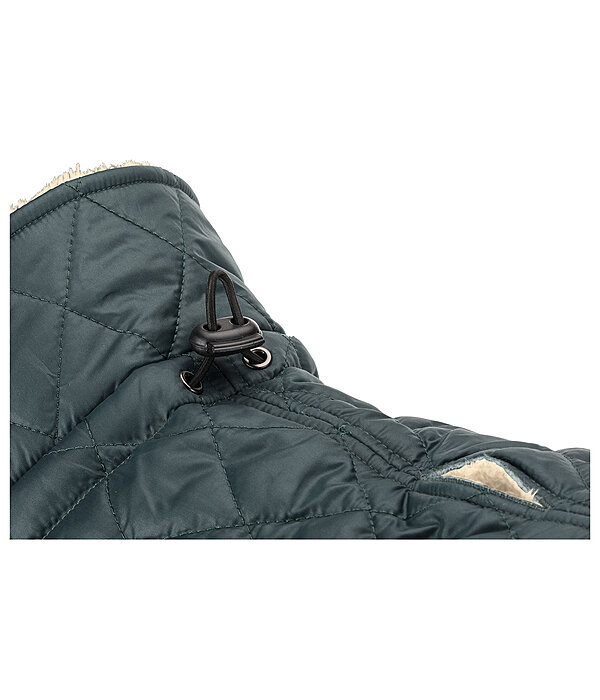 Dog Coat Archie with Teddy Fleece Lining, 160 g