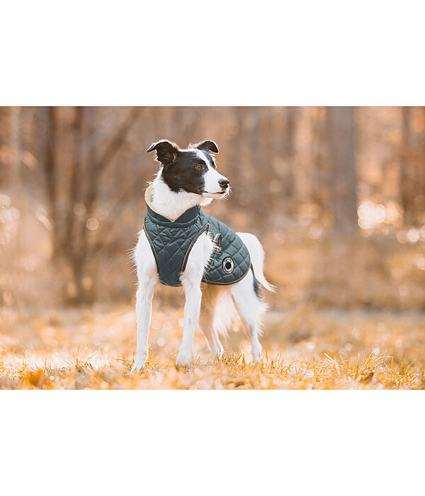 Dog Coat Archie with Teddy Fleece Lining, 160 g