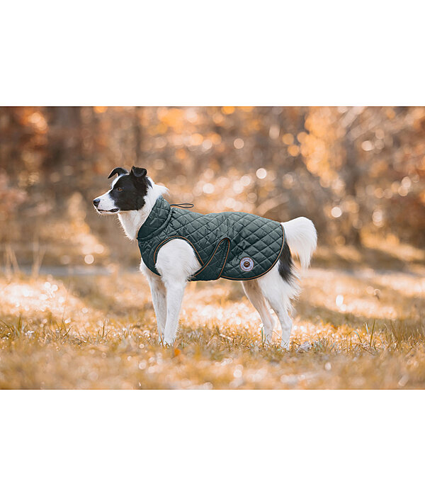 Dog Coat Archie with Teddy Fleece Lining, 160 g