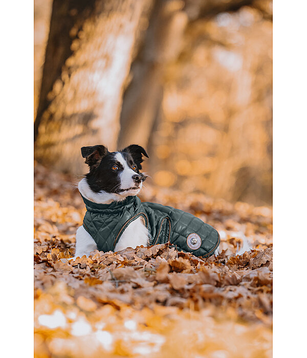 Dog Coat Archie with Teddy Fleece Lining, 160 g