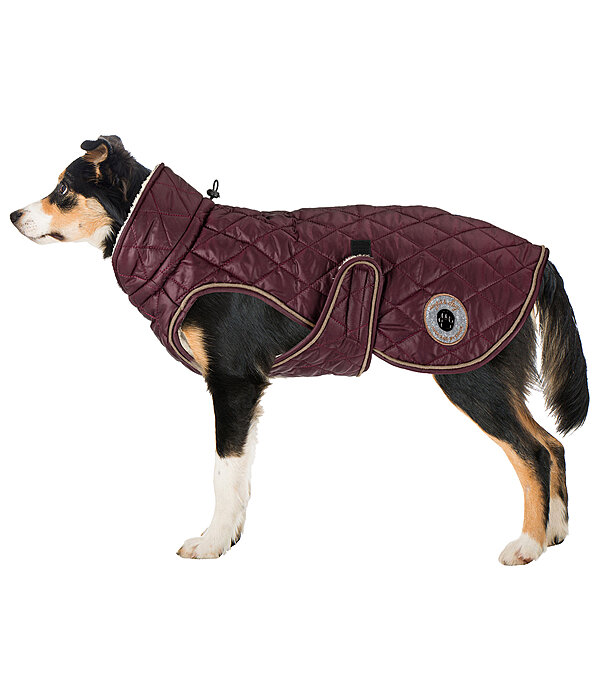 Dog Coat Archie with Teddy Fleece Lining, 160 g