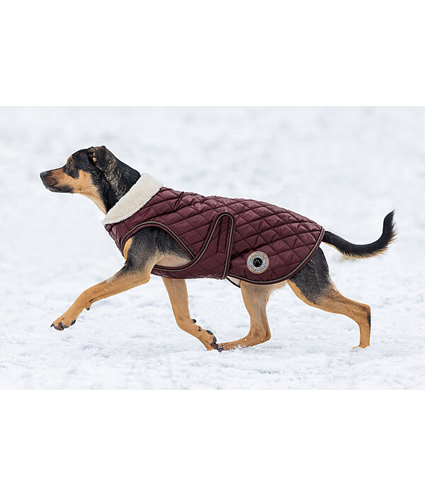 Dog Coat Archie with Teddy Fleece Lining, 160 g