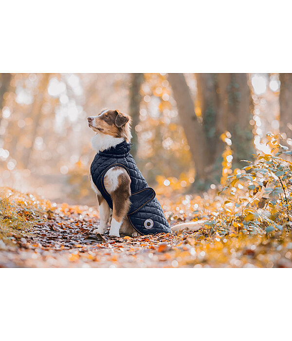 Dog Coat Archie with Teddy Fleece Lining, 160 g