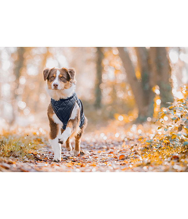Dog Coat Archie with Teddy Fleece Lining, 160 g