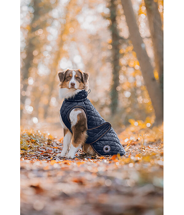 Dog Coat Archie with Teddy Fleece Lining, 160 g