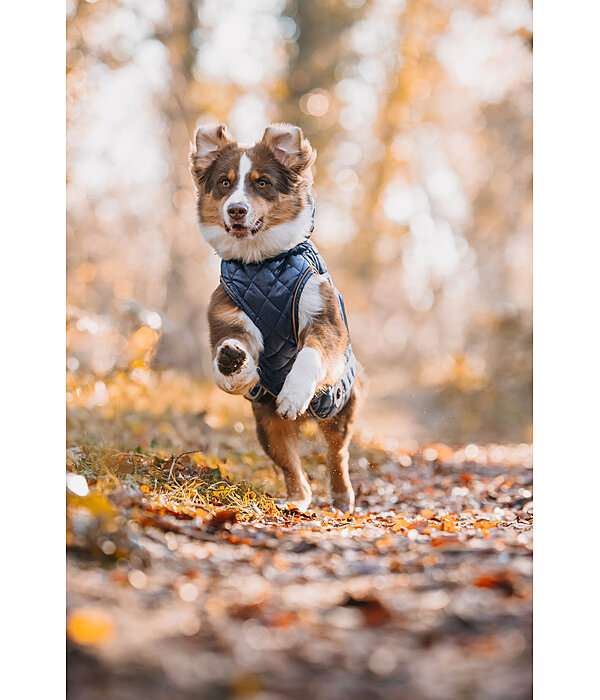 Dog Coat Archie with Teddy Fleece Lining, 160 g