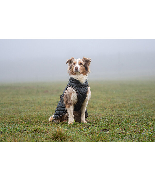 Dog Coat Archie with Teddy Fleece Lining, 160 g