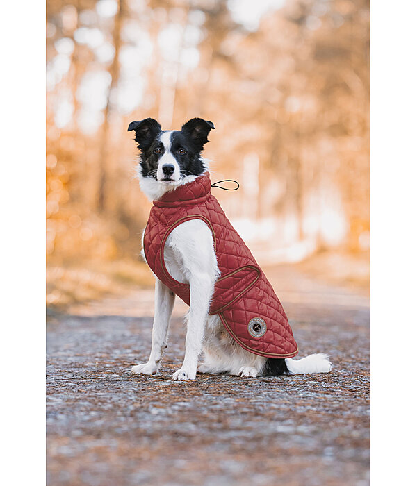 Dog Coat Archie with Teddy Fleece Lining, 160 g