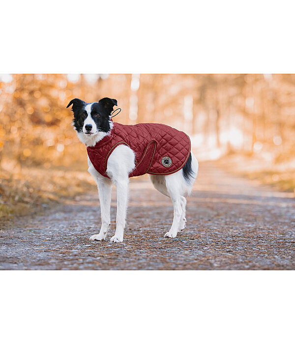 Dog Coat Archie with Teddy Fleece Lining, 160 g