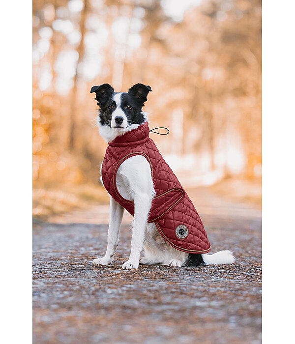 Dog Coat Archie with Teddy Fleece Lining, 160 g