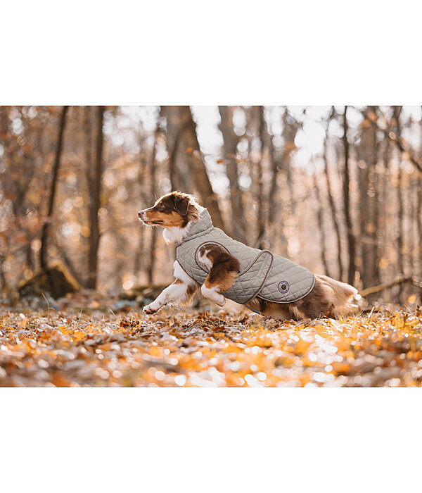 Dog Coat Archie with Teddy Fleece Lining, 160 g