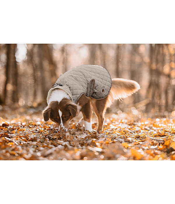Dog Coat Archie with Teddy Fleece Lining, 160 g