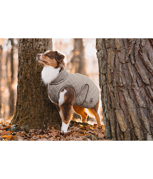Dog Coat Archie with Teddy Fleece Lining, 160 g