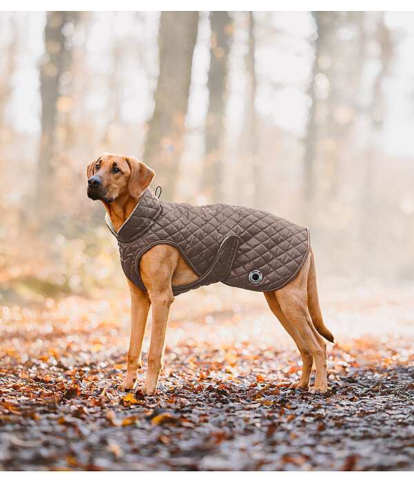 Dog Coat Archie with Teddy Fleece Lining, 160 g