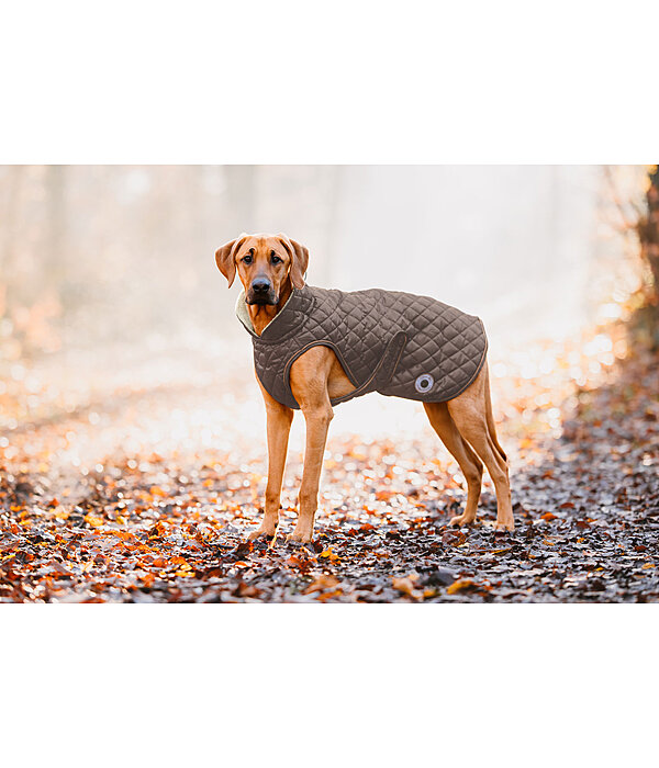 Dog Coat Archie with Teddy Fleece Lining, 160 g