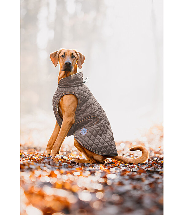 Dog Coat Archie with Teddy Fleece Lining, 160 g