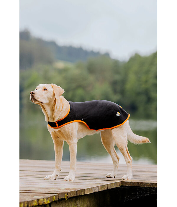 Dog Coat Ceramic Rehab