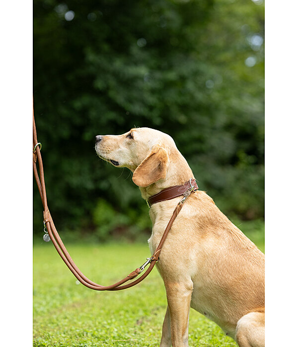 Round Leather Dog Lead Certaldo