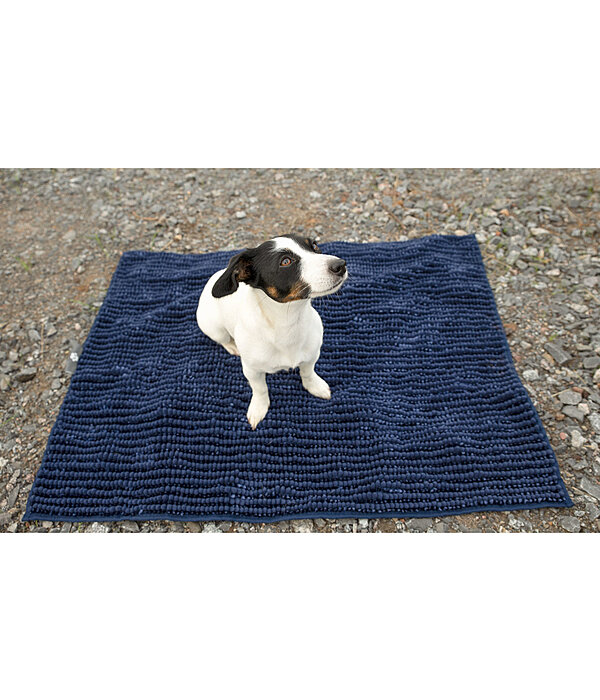 dirty paws mat