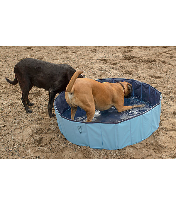 Dog Pool Kaya