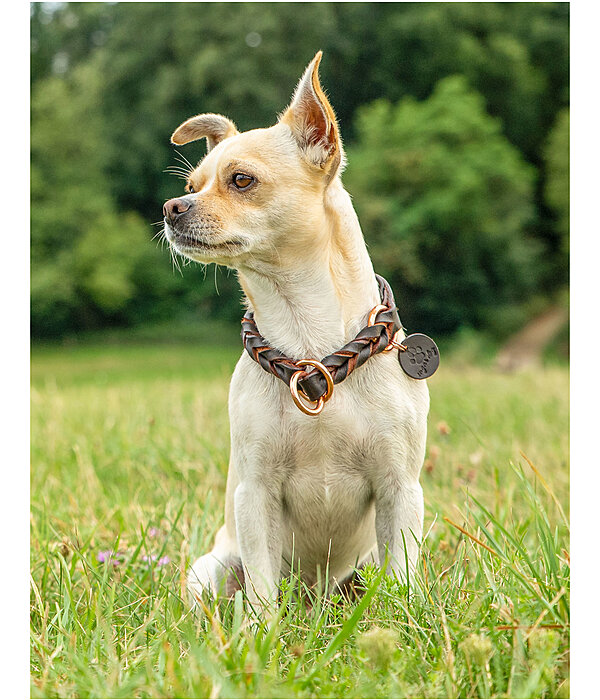 Woven Leather Pull Stop Dog Collar Valesca