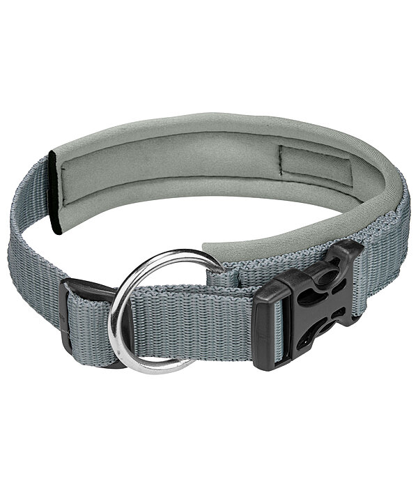 Dog Collar Becks