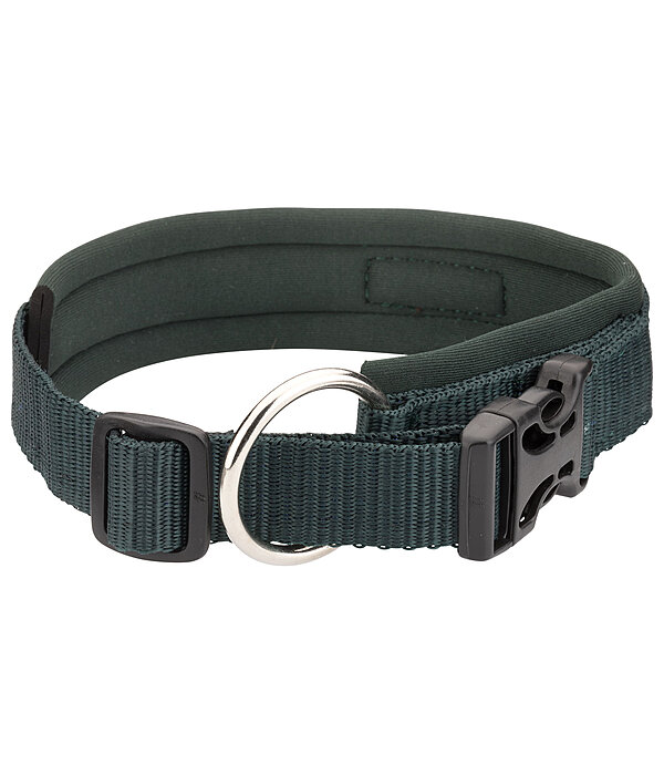 Dog Collar Becks