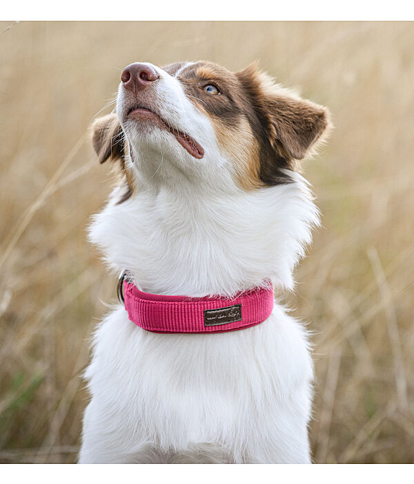 Animates top bark collar
