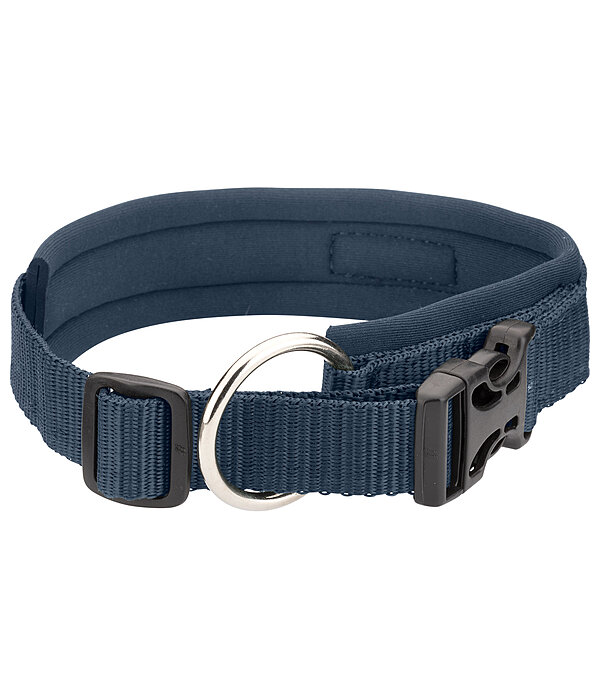 Dog Collar Becks