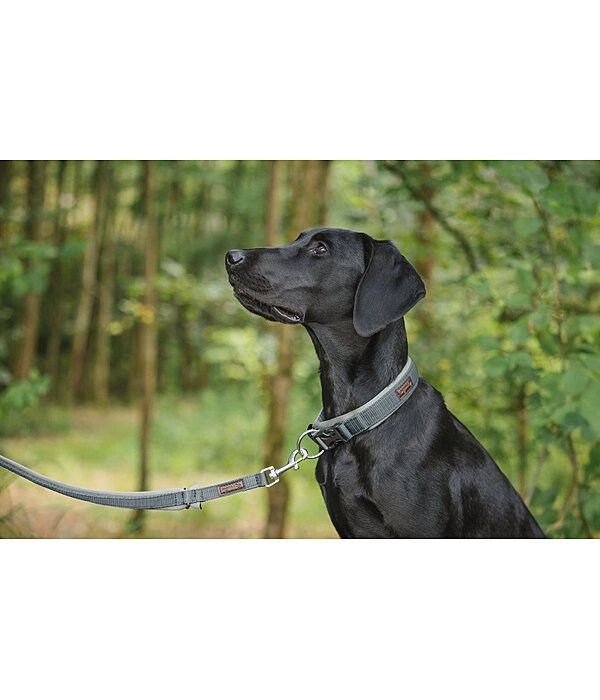 Dog Lead Jade