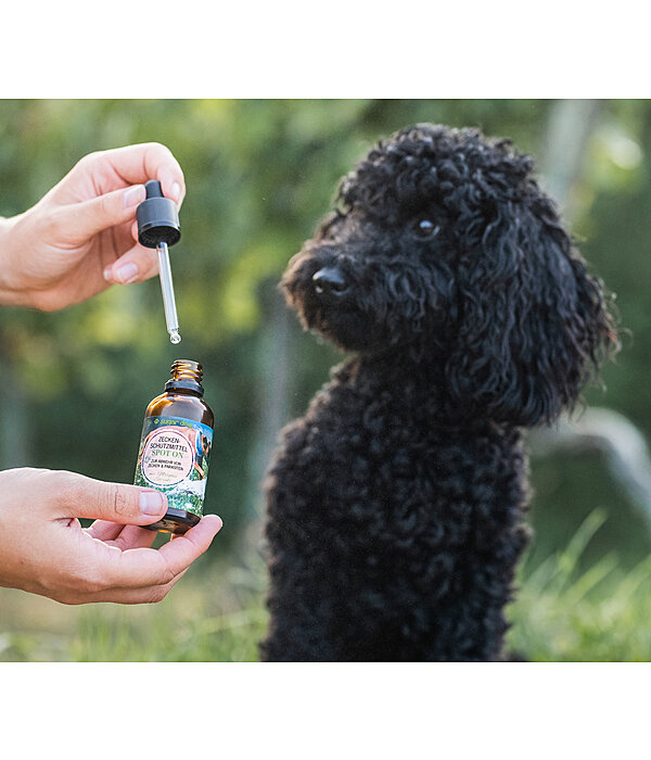 Spot-On Tick Repellent For Dogs