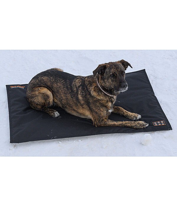 Thermal Dog Blanket Ceramic Rehab