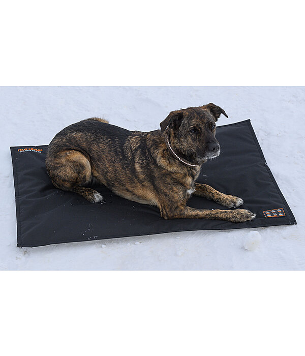 Thermal dog blanket outlet