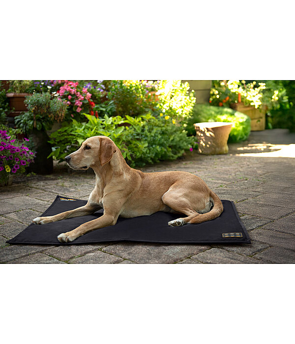 Thermal Dog Blanket Ceramic Rehab