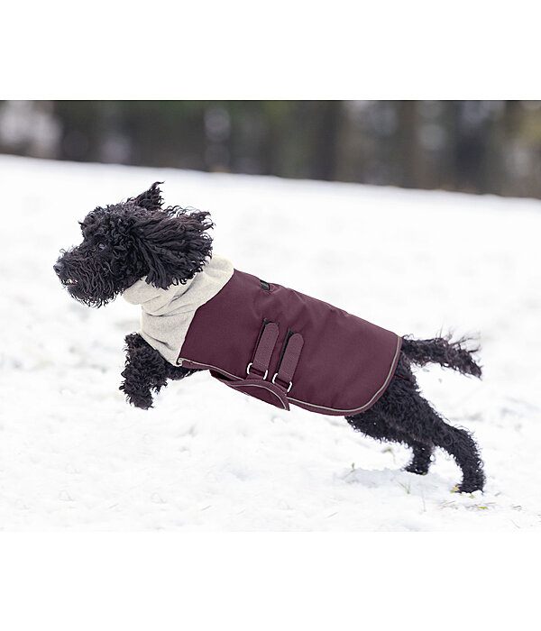 Winter Dog Coat Juniper with Fleece Collar, 200g