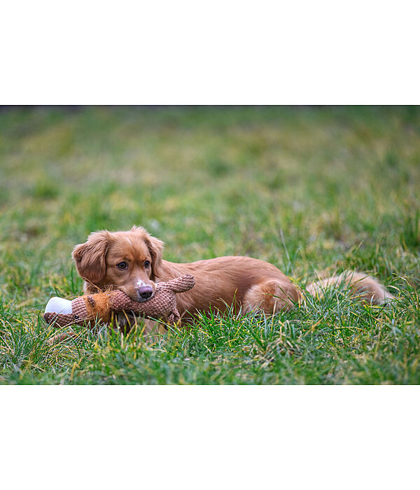 Cuddly Lion Dog Toy Lio